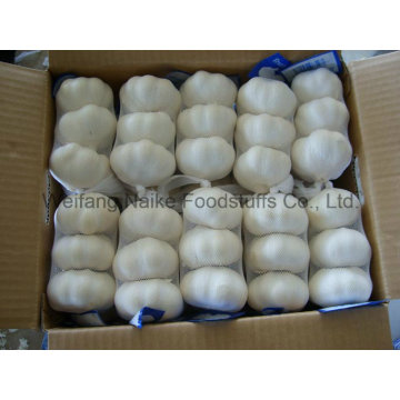 2015 New Crop Chinese Fresh Garlic